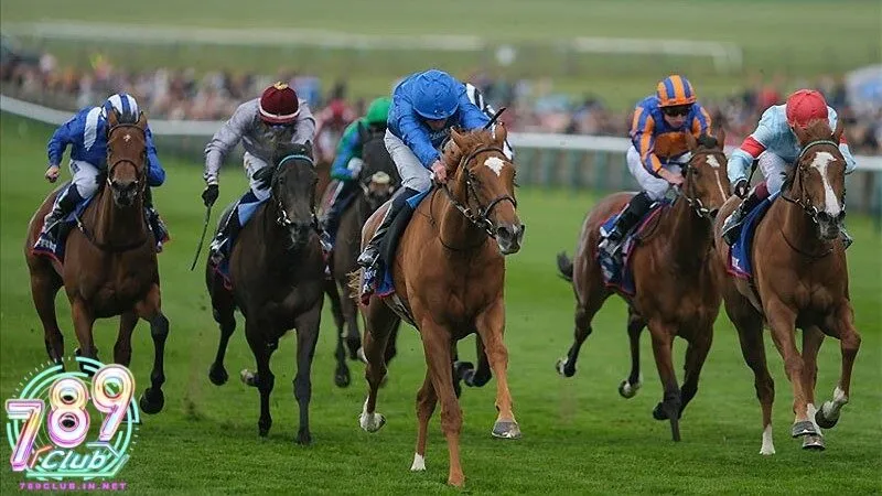Luật chơi cơ bản và các kèo đua ngựa phổ biến tại 789club